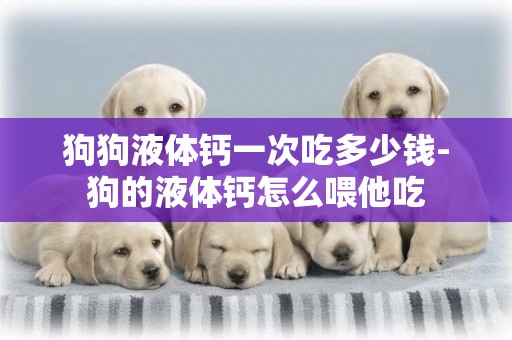狗狗液體鈣一次吃多少錢-狗的液體鈣怎么喂他吃