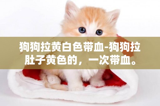 狗狗拉黃白色帶血-狗狗拉肚子黃色的，一次帶血。