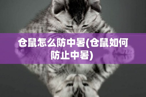 倉鼠怎么防中暑(倉鼠如何防止中暑) 