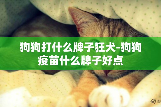 狗狗打什么牌子狂犬-狗狗疫苗什么牌子好點