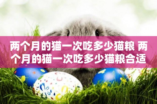 兩個月的貓一次吃多少貓糧 兩個月的貓一次吃多少貓糧合適