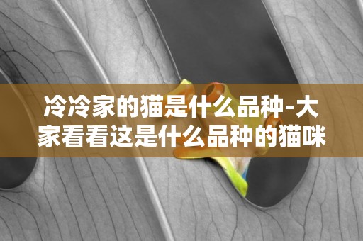 冷冷家的貓是什么品種-大家看看這是什么品種的貓咪？