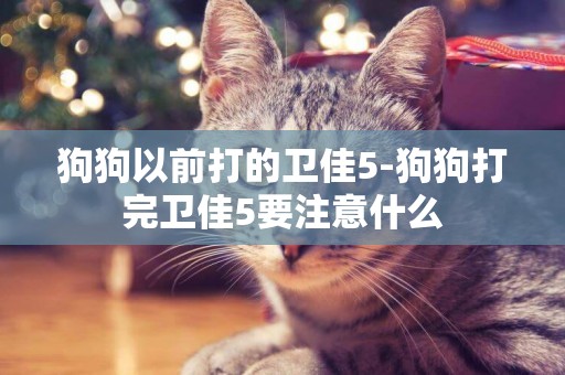 狗狗以前打的衛佳5-狗狗打完衛佳5要注意什么