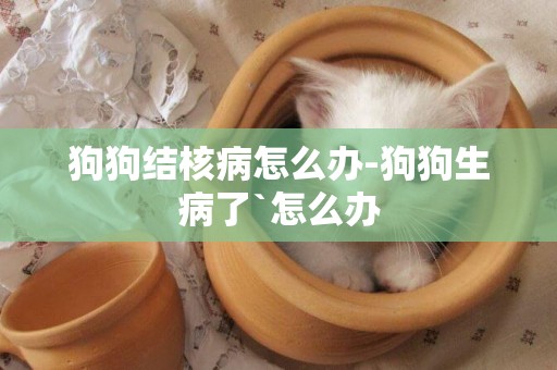 狗狗結核病怎么辦-狗狗生病了`怎么辦