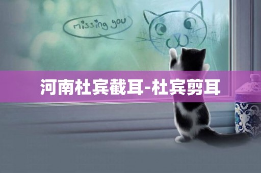 河南杜賓截耳-杜賓剪耳