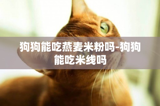 狗狗能吃燕麥米粉嗎-狗狗能吃米線嗎
