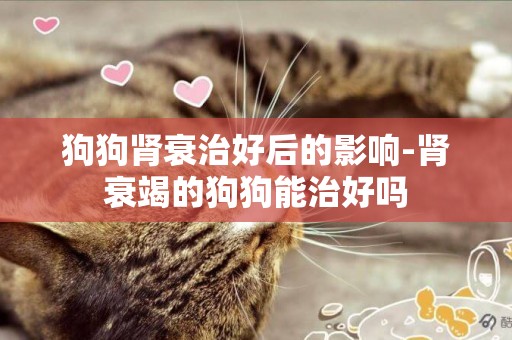 狗狗腎衰治好后的影響-腎衰竭的狗狗能治好嗎