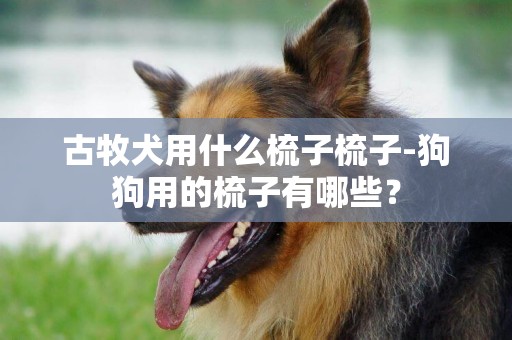 古牧犬用什么梳子梳子-狗狗用的梳子有哪些？