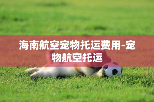 海南航空寵物托運費用-寵物航空托運