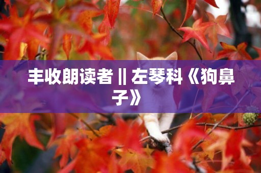 豐收朗讀者‖左琴科《狗鼻子》 