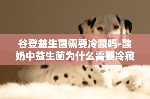 谷登益生菌需要冷藏嗎-酸奶中益生菌為什么需要冷藏?