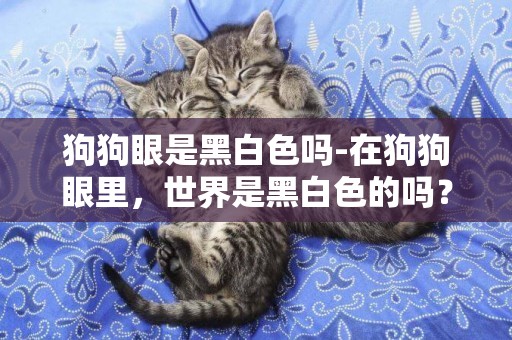 狗狗眼是黑白色嗎-在狗狗眼里，世界是黑白色的嗎？