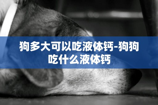 狗多大可以吃液體鈣-狗狗吃什么液體鈣