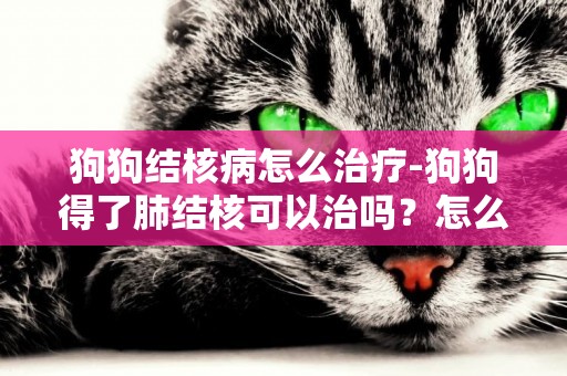 狗狗結核病怎么治療-狗狗得了肺結核可以治嗎？怎么治療呢？