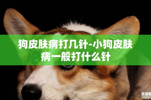 狗皮膚病打幾針-小狗皮膚病一般打什么針