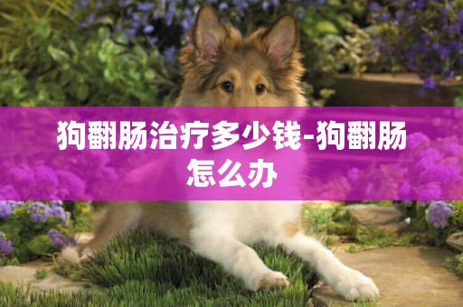狗翻腸治療多少錢-狗翻腸怎么辦