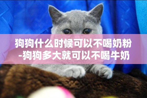 狗狗什么時候可以不喝奶粉-狗狗多大就可以不喝牛奶了