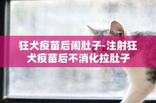 狂犬疫苗后鬧肚子-注射狂犬疫苗后不消化拉肚子