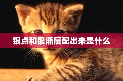 銀點和銀漸層配出來是什么