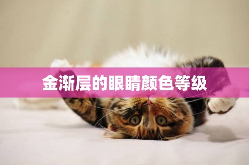 金漸層的眼睛顏色等級