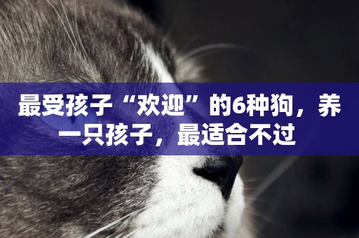 最受孩子“歡迎”的6種狗，養一只孩子，最適合不過 
