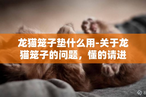 龍貓籠子墊什么用-關于龍貓籠子的問題，懂的請進