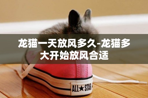 龍貓一天放風多久-龍貓多大開始放風合適
