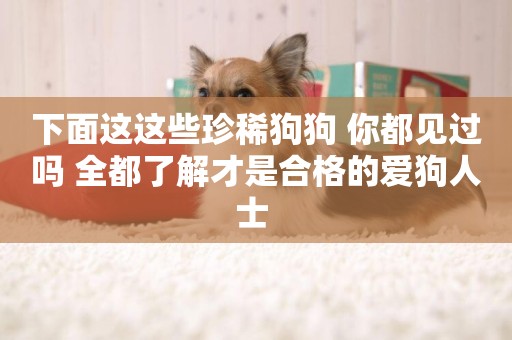下面這這些珍稀狗狗 你都見過嗎 全都了解才是合格的愛狗人士 