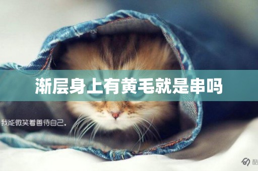 漸層身上有黃毛就是串嗎
