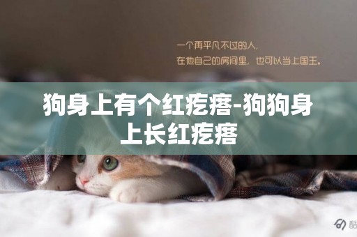 狗身上有個紅疙瘩-狗狗身上長紅疙瘩