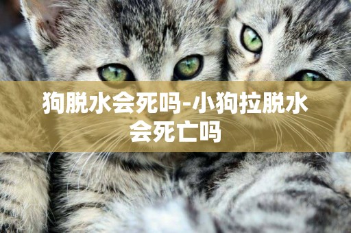 狗脫水會死嗎-小狗拉脫水會死亡嗎