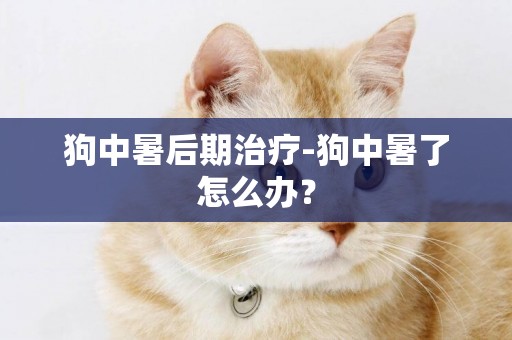 狗中暑后期治療-狗中暑了怎么辦？