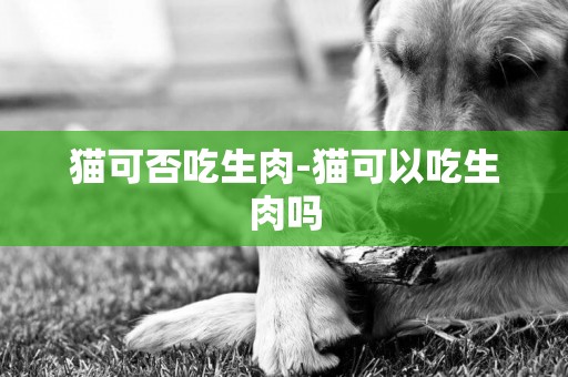 貓可否吃生肉-貓可以吃生肉嗎