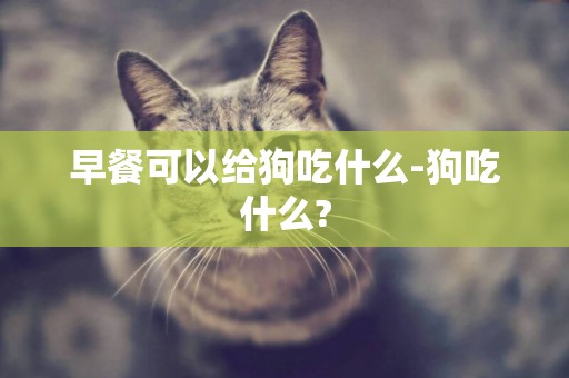 早餐可以給狗吃什么-狗吃什么?