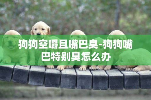 狗狗空嚼且嘴巴臭-狗狗嘴巴特別臭怎么辦