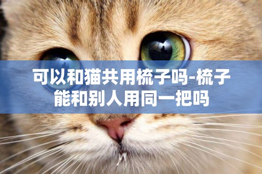 可以和貓共用梳子嗎-梳子能和別人用同一把嗎