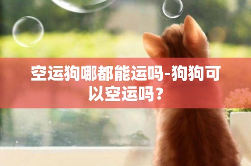 空運狗哪都能運嗎-狗狗可以空運嗎？