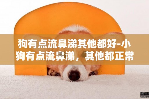 狗有點流鼻涕其他都好-小狗有點流鼻涕，其他都正常的。