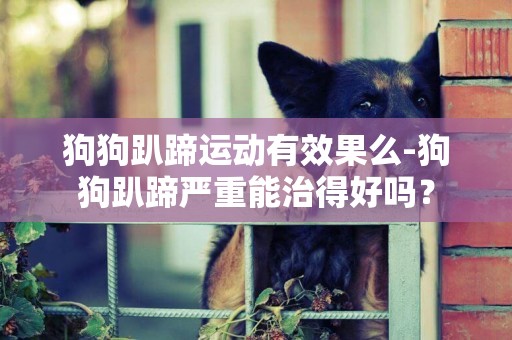 狗狗趴蹄運動有效果么-狗狗趴蹄嚴重能治得好嗎？