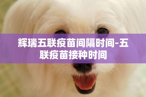 輝瑞五聯疫苗間隔時間-五聯疫苗接種時間
