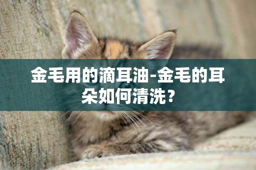 金毛用的滴耳油-金毛的耳朵如何清洗？