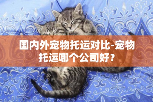 國內外寵物托運對比-寵物托運哪個公司好？