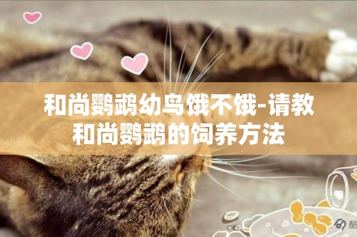 和尚鸚鵡幼鳥餓不餓-請教和尚鸚鵡的飼養方法
