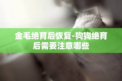 金毛絕育后恢復-狗狗絕育后需要注意哪些