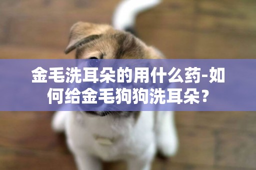 金毛洗耳朵的用什么藥-如何給金毛狗狗洗耳朵？