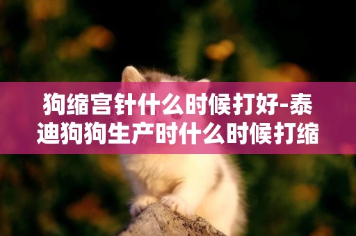 狗縮宮針什么時候打好-泰迪狗狗生產時什么時候打縮宮素