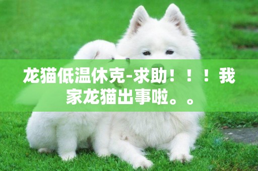 龍貓低溫休克-求助！！！我家龍貓出事啦。。