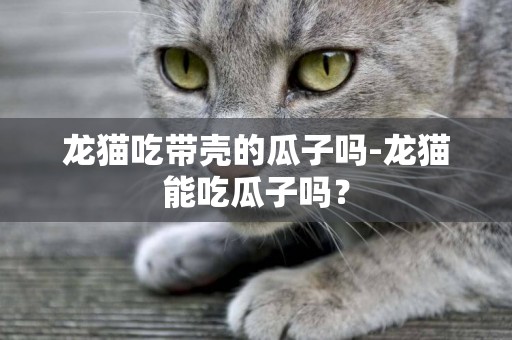 龍貓吃帶殼的瓜子嗎-龍貓能吃瓜子嗎？