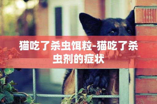 貓吃了殺蟲餌粒-貓吃了殺蟲劑的癥狀