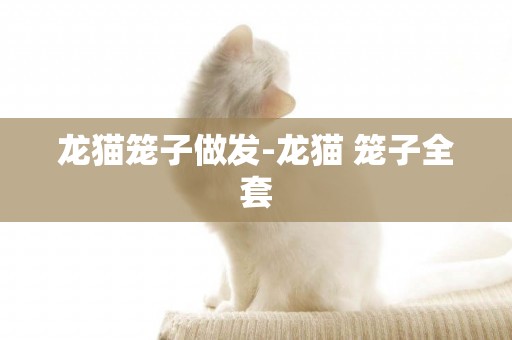 龍貓籠子做發-龍貓 籠子全套